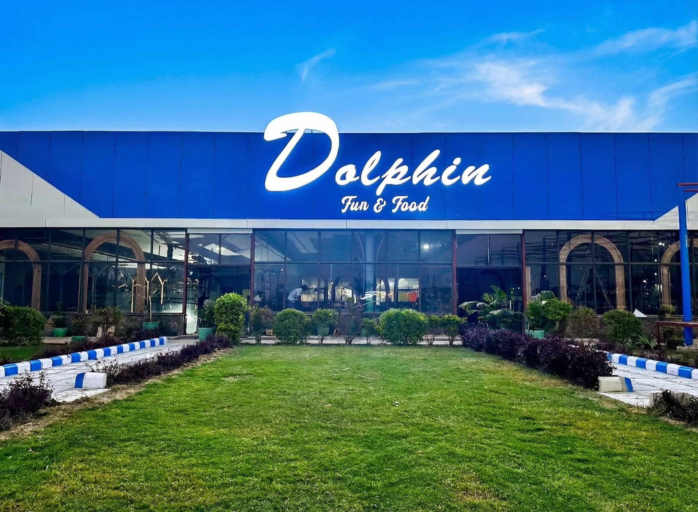 Dolphin Gemini Generated