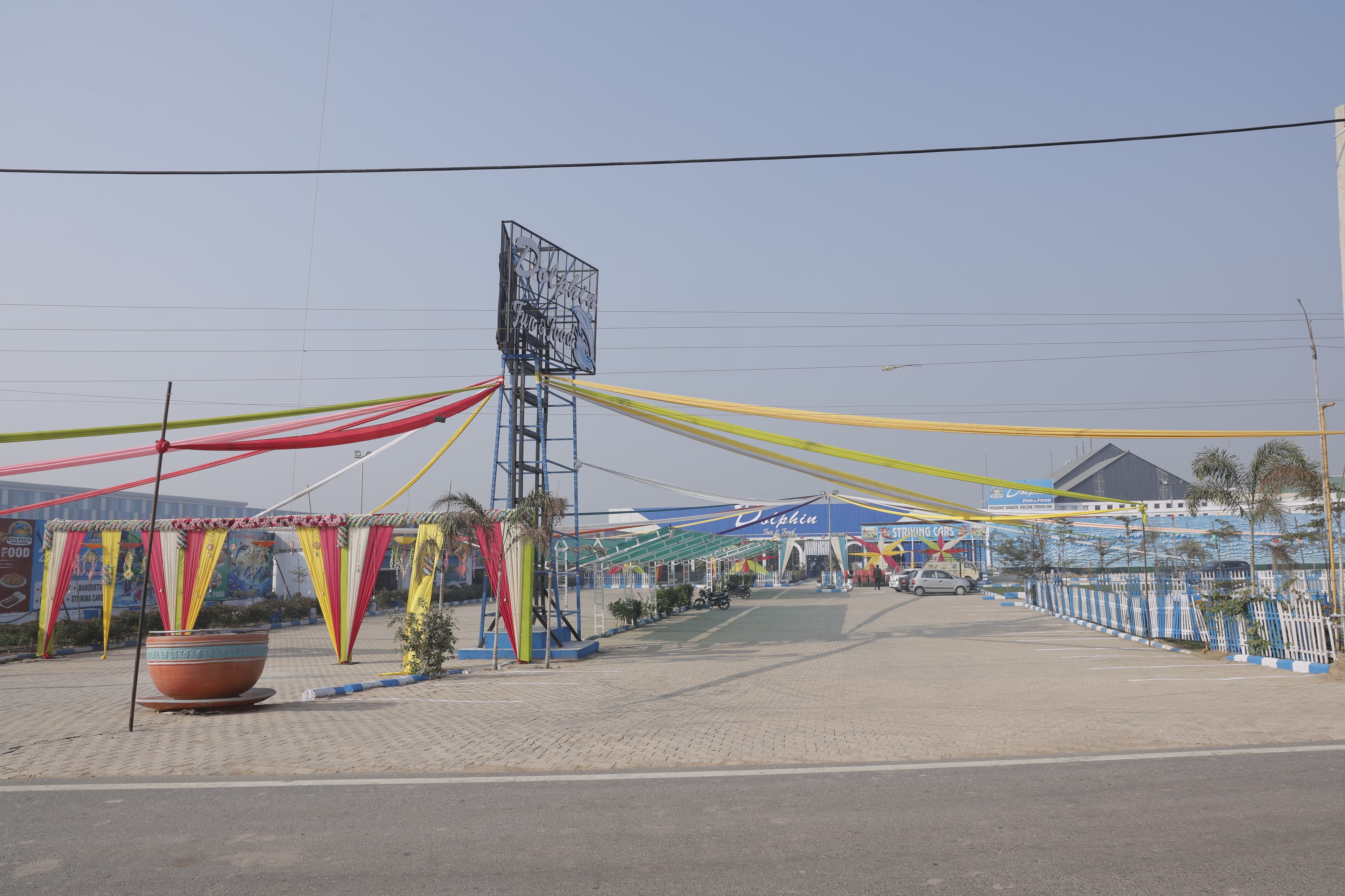 Dolphin Fun & Food gallery image pic-01.jpg