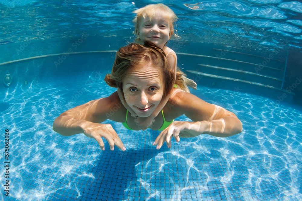 Dolphin Fun & Food gallery image pic-03.jpg