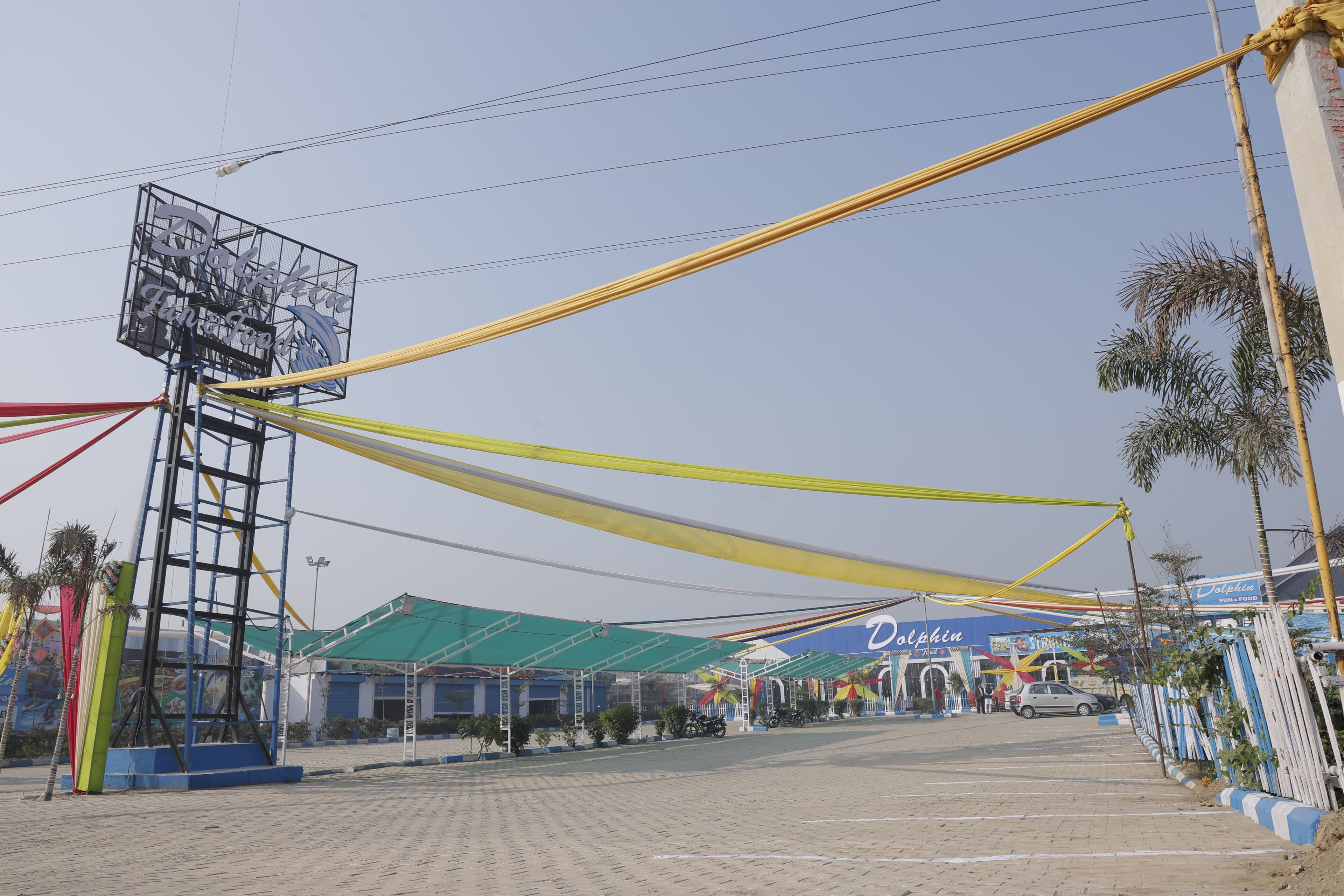 Dolphin Fun & Food gallery image pic-04.jpg